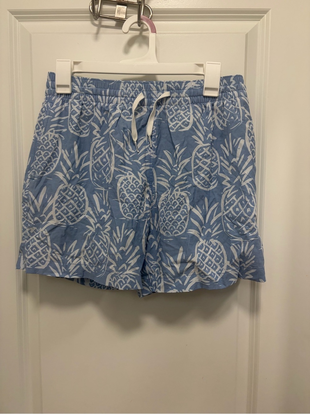 Chubbies pineapple swim trunks blue lined size small 5.5 in inseam EUC